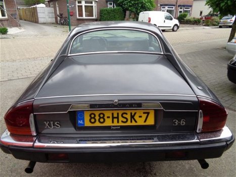 Jaguar XJS - Xj-s 3.6 Handgeschakeld - 1