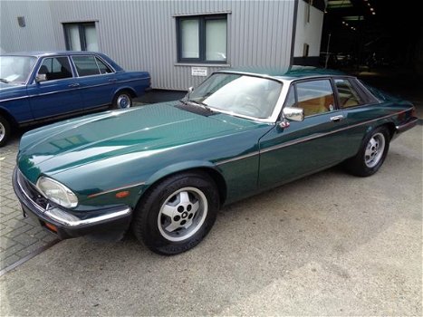 Jaguar XJS - Xj-s V12 automaat - 1