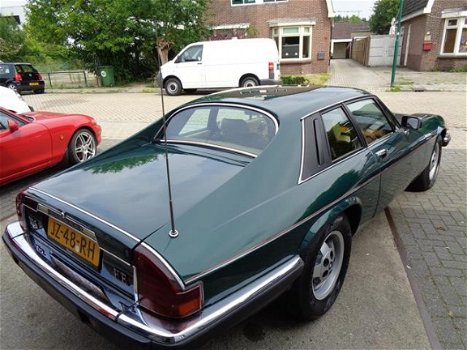 Jaguar XJS - Xj-s V12 automaat - 1