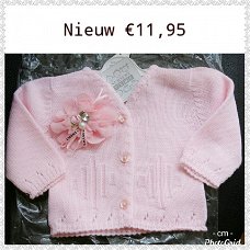 BABY VESTJE IN ROZE MET CHANE L BLOEM MAAT 50