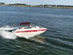 Stingray 250 LR - 3 - Thumbnail