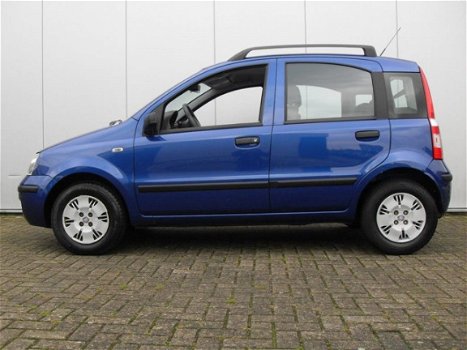 Fiat Panda - 1.2 Edizione Cool - 1