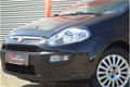 Fiat Punto Evo - 1.2 Dynamic 7X OP VOORRAAD|5DRS|NW.APK|MF.STUUR|PIANO BLACK - 1 - Thumbnail