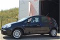 Fiat Punto Evo - 1.2 Dynamic 7X OP VOORRAAD|5DRS|NW.APK|MF.STUUR|PIANO BLACK - 1 - Thumbnail