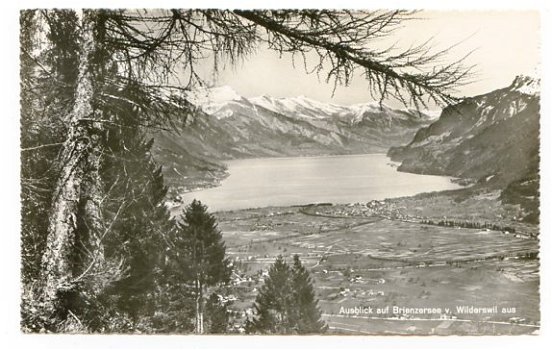 T042 Ausblick auf Brienzersee v Wilderswil / Zwitserland - 1