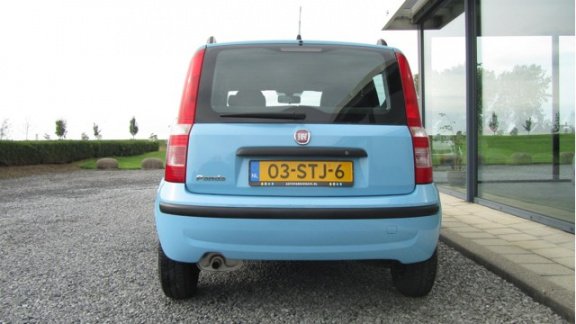 Fiat Panda - 1.2 Edizione Cool - 1