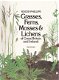 Grasses, Ferns, Mosses & Lichens of Great Britain and Ireland. - 1 - Thumbnail