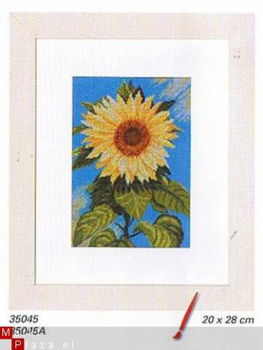 OPRUIMING LANARTE BORDUURPAKKET SUNFLOWER 35045 - 1