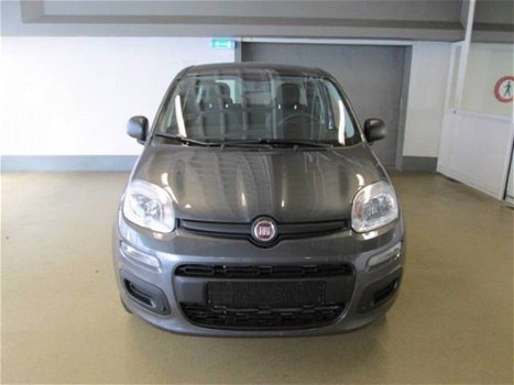 Fiat Panda - 1.2 69 Easy / AIRCO/ RADIO / NW AUTO - 1