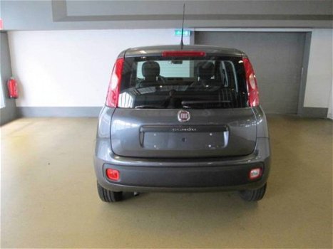 Fiat Panda - 1.2 69 Easy / AIRCO/ RADIO / NW AUTO - 1