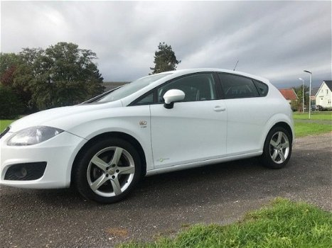 Seat Leon - 1.2 TSI Eco. COPA - 1