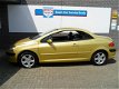 Peugeot 307 CC - 2.0 16V Coupe Pack - 1 - Thumbnail