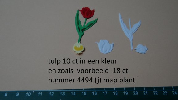 stansjes 15-10-2019/2 - 7