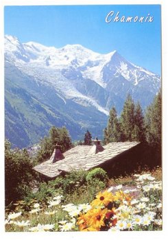 T113 Chamonix Mont Blanc / Frankrijk - 1