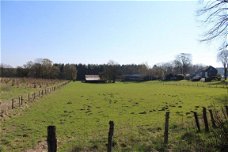 Ardennen,6880 Biourge-Bertrix : Bouwgrond 1396m² te koop