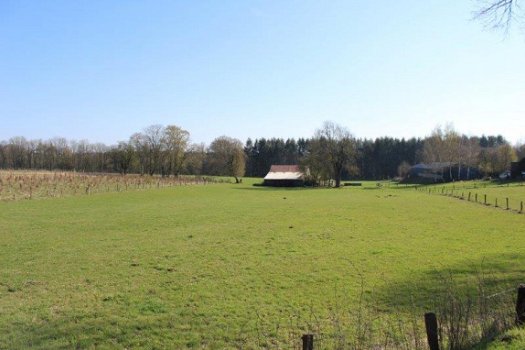 Ardennen,6880 Biourge-Bertrix : Bouwgrond 1396m² te koop - 2