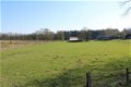 Ardennen,6880 Biourge-Bertrix : Bouwgrond 1396m² te koop - 5 - Thumbnail