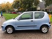 Fiat Seicento - 1.1 SX seicento 2002 stuurbekrachtiging NAP - 1 - Thumbnail