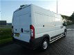 Fiat Ducato - 2.3 koeling/frigo 150 pk - 1 - Thumbnail