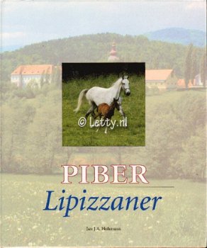 PIBER LIPIZZANER - 1