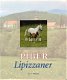 PIBER LIPIZZANER - 1 - Thumbnail