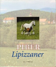 PIBER LIPIZZANER