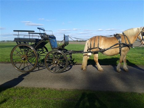 zeer nette wagonnette koets - 1