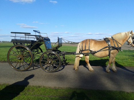 zeer nette wagonnette koets - 2