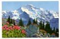 T164 Die Jungfrau Zwitserland - 1 - Thumbnail