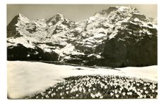 T166 Murren Winteregg Jungfrau / Eiger Monch / Zwitserland