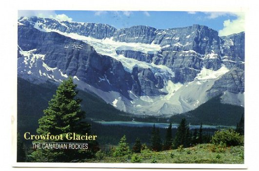 T194 Crowfoot Clacier Canadian Rockies / Canada - 1