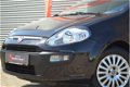 Fiat Punto Evo - 1.2 Dynamic || 7X OP VOORRAAD| |5DRS| NW.APK| MF.STUUR| PIANO BLACK| - 1 - Thumbnail