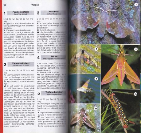ANWB Natuurgids - Afbeelding 3