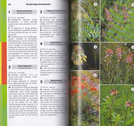 ANWB Natuurgids - Afbeelding 4