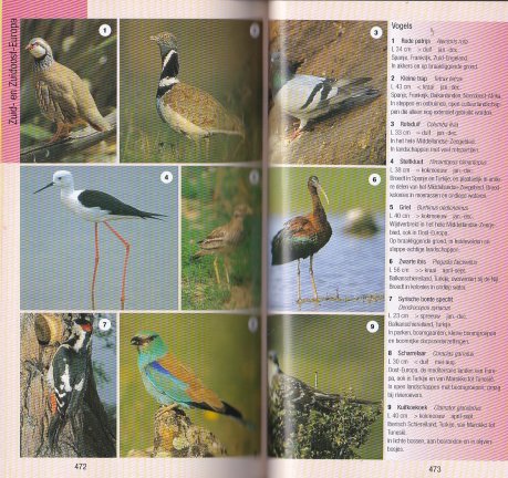 ANWB Natuurgids - Afbeelding 5