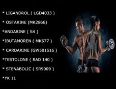 Buy High Performance Human Growth Hormone (Steroids) Online