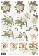 A4 Knipvellen Anne Design 2612 - Vogels in de sneeuw - 1 - Thumbnail
