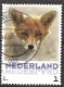 nederland 204 - 0 - Thumbnail