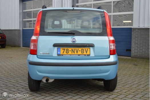 Fiat Panda - 1.2 Dynamic - 1