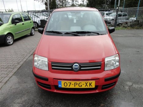 Fiat Panda - 1.2 Dynamic - 1