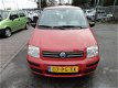 Fiat Panda - 1.2 Dynamic - 1 - Thumbnail