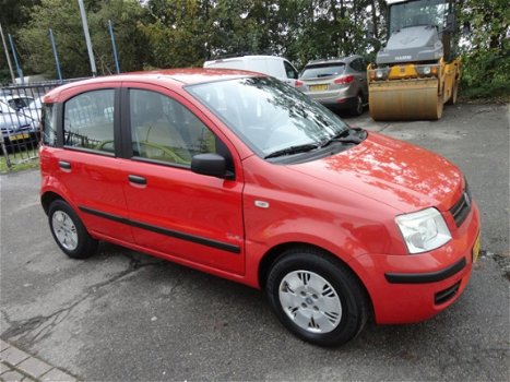 Fiat Panda - 1.2 Dynamic - 1