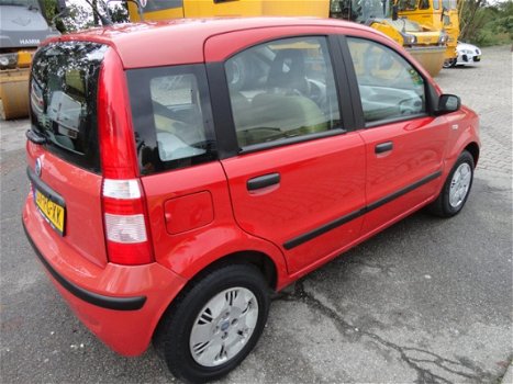 Fiat Panda - 1.2 Dynamic - 1