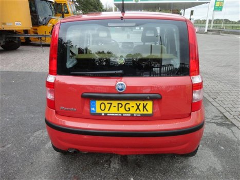 Fiat Panda - 1.2 Dynamic - 1