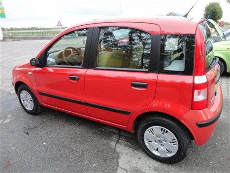 Fiat Panda - 1.2 Dynamic - 1