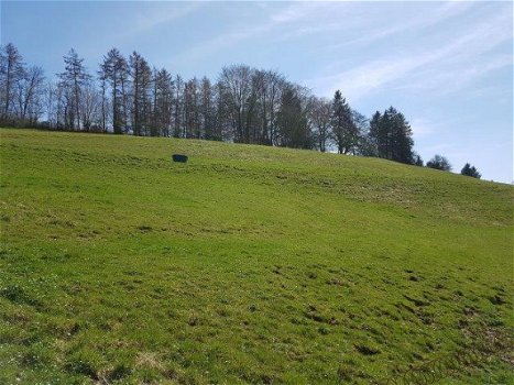 Ardennen,6880 AUBY-SEMOIS: Grond 1Ha 06a 20ca, OOST,.. te koop - 7