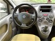 Fiat Panda - 1.2 Edizione Cool |AIRCO||STB|APK JUNI-2020 - 1 - Thumbnail