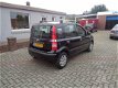 Fiat Panda - 1.2 Edizione Cool - 1 - Thumbnail