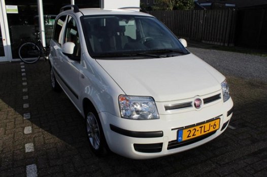 Fiat Panda - 1.2 Edizione Cool - 1