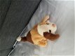 donkerbruin rubber hondje - 8 - Thumbnail